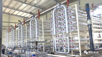 平和縣自來(lái)水廠改擴(kuò)建工程進(jìn)入最后沖刺,預(yù)計(jì)本月底具備全面通水條件